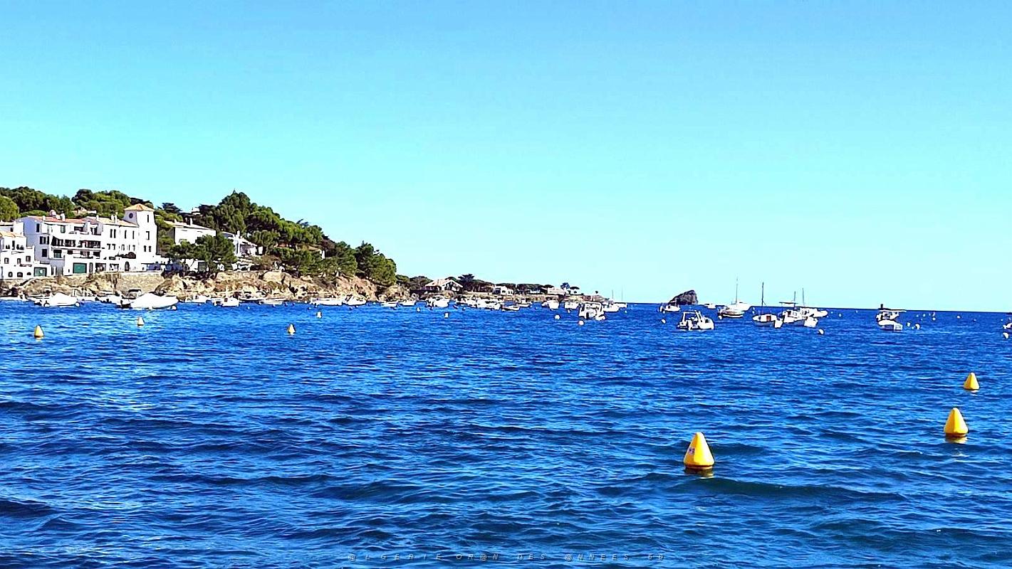 De Rosas a Cadaques 85.jpg